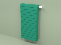 Radiator - Faro H (FAH 20 900 mm, RAL - 6016)