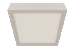 Ceiling lamp (6630)