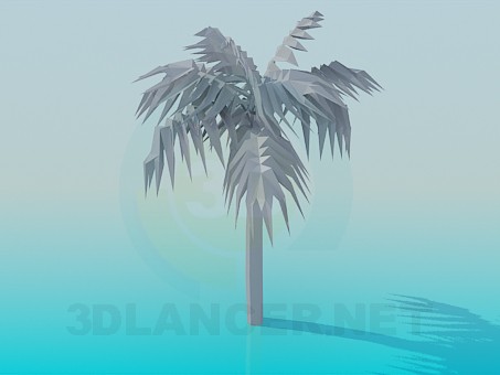 3D Modell Palme - Vorschau