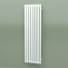 modèle 3D Radiateur Triga (WGTRG130038-ZX, 1300x380 mm) - preview