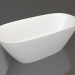 3d model Bath SOFIA 170x80 - preview