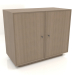 3D Modell Schrank TM 15 (1001x505x834, holzgrau) - Vorschau