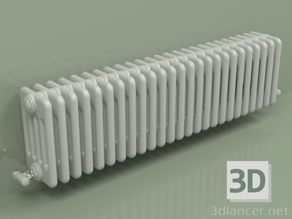 modèle 3D Radiateur TESI 5 (H 300 25EL, gris Manhattan) - preview