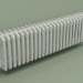 modèle 3D Radiateur TESI 5 (H 300 25EL, gris Manhattan) - preview