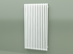 Radiateur Triga (WGTRG130068-ZX, 1300x680 mm)