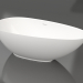 3D Modell PAOLA-Badewanne 172x82,5 - Vorschau