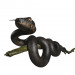 3d Snake model buy - render