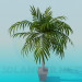 3d model Palma in a flowerpot - preview