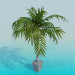 3d model Palma in a flowerpot - preview