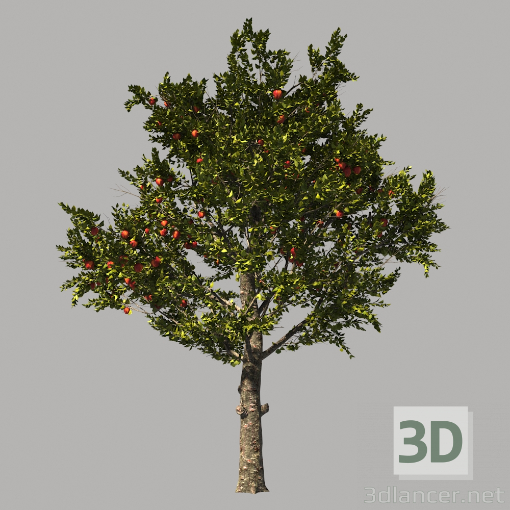 3d Яблоня_AppleTree модель купить - ракурс