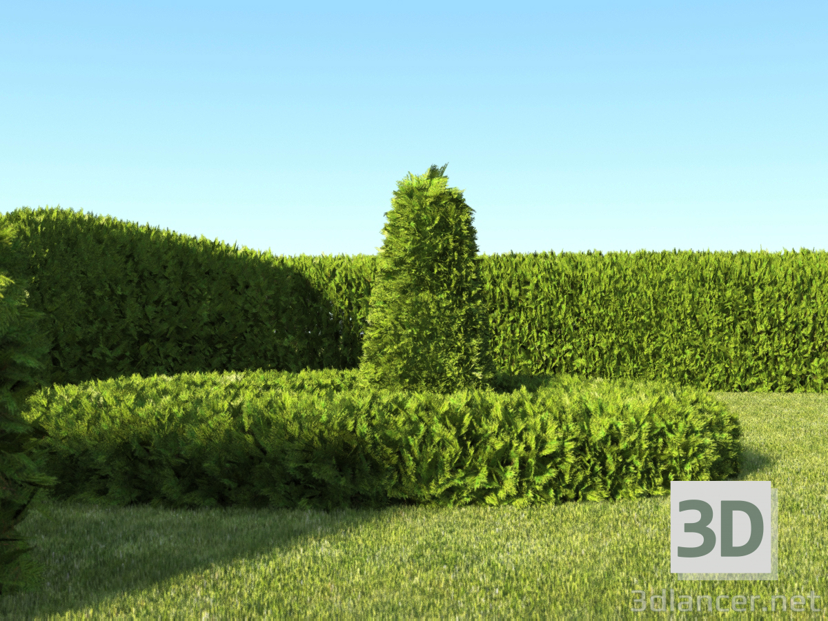 3d Living fences of Tuy, for quick landscaping model buy - render