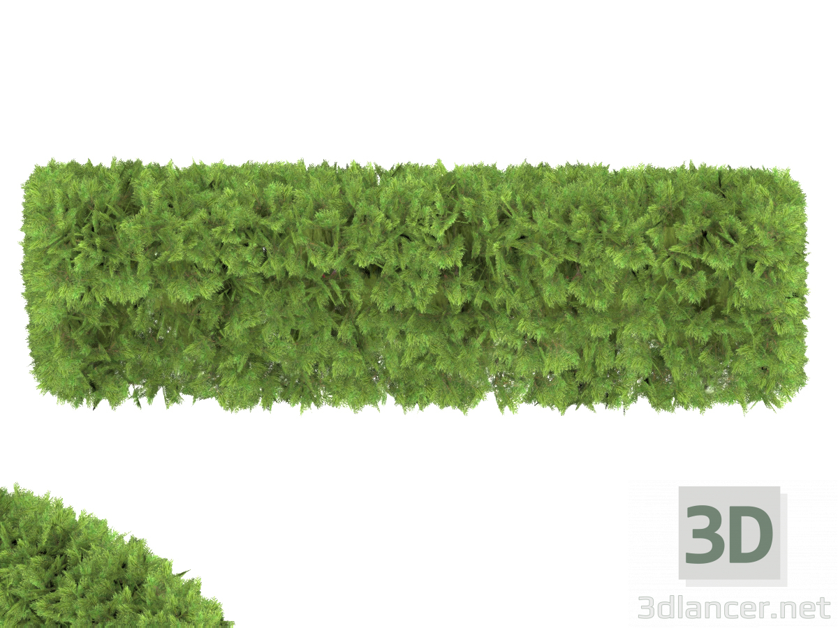 3d Living fences of Tuy, for quick landscaping model buy - render