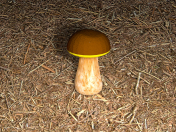 mushroom