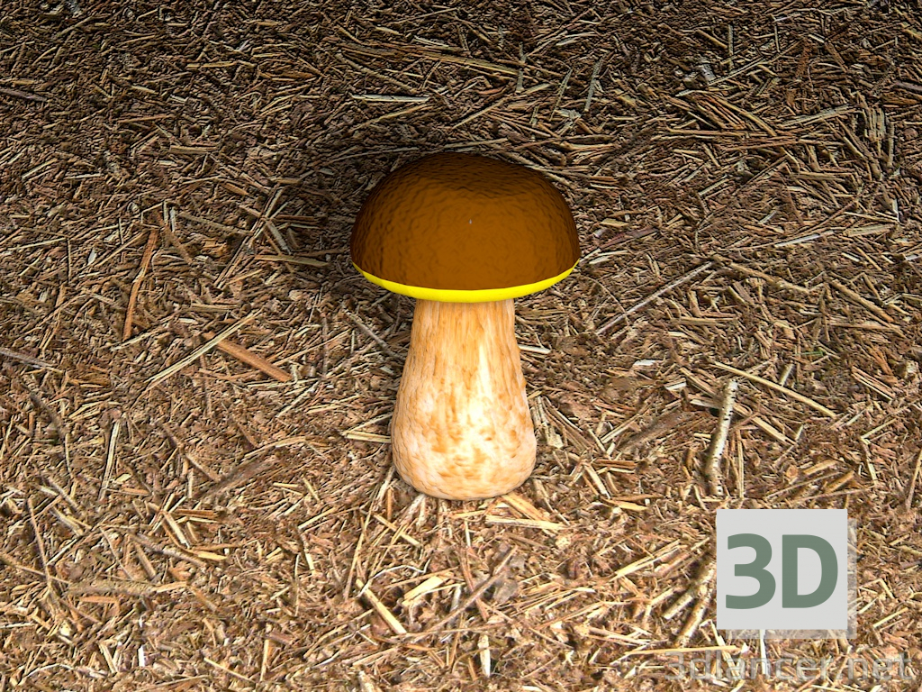 3D Modell Pilz - Vorschau