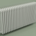 modèle 3D Radiateur TESI 5 (H 600 25EL, gris Manhattan) - preview