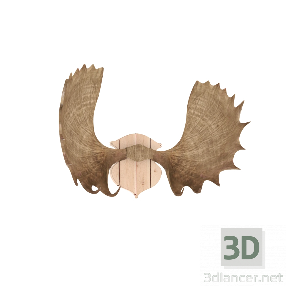 3d model Cuernos de alce - vista previa