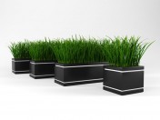 pasto para jardineria