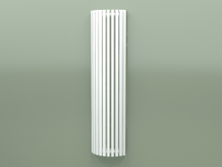 Radiator Triga AW (WGVRA170043-ZX, 1700x430 mm)