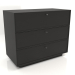 modèle 3D Commode TM 15 (1001х505х834, bois noir) - preview