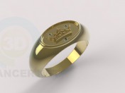 anillo