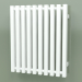 modèle 3D Radiateur Triga E (WGTRG056048-E2, 560x480 mm) - preview