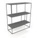 3D Modell Son-Rack (Grau) - Vorschau