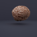 modello 3D di Cervello low-poly comprare - rendering