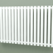 modèle 3D Radiateur Triga E (WGTRG056088-E2, 560х880 mm) - preview