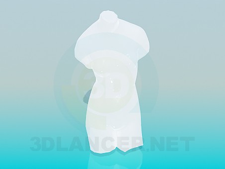 3D Modell weiblicher Torso - Vorschau