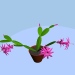 3d Blooming zygocactus model buy - render