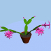 3d Blooming zygocactus model buy - render