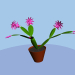 3d Blooming zygocactus model buy - render