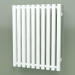 modèle 3D Radiateur Triga E (WGTRG061048-E2, 610x480 mm) - preview