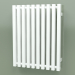 modèle 3D Radiateur Triga E (WGTRG061048-E7, 610x480 mm) - preview