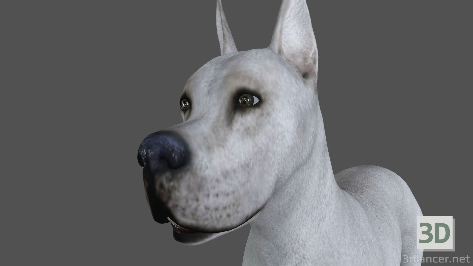 Perro de animación FDGD-001 3D modelo Compro - render