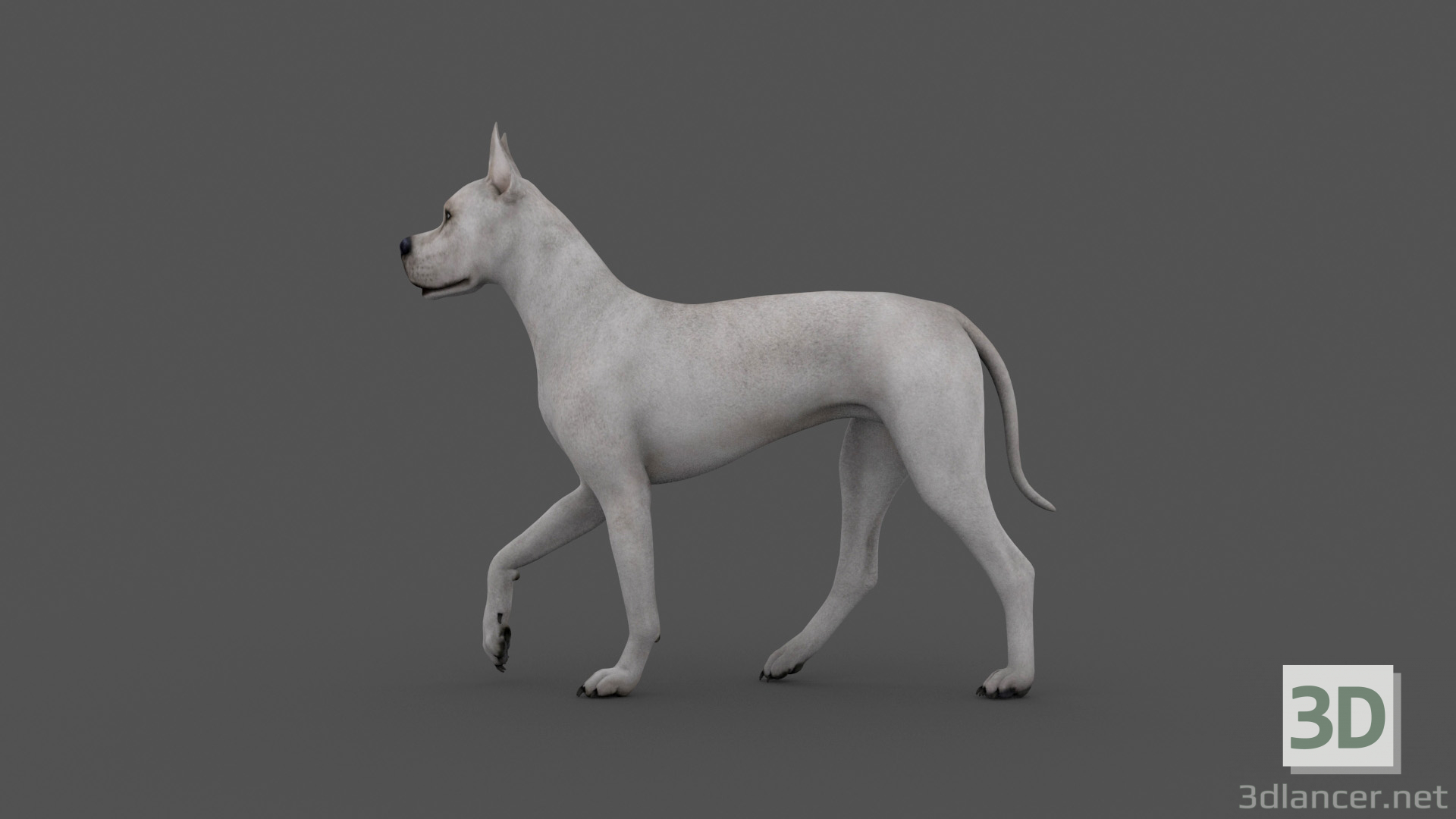 Perro de animación FDGD-001 3D modelo Compro - render