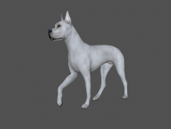 FDGD-001 Animation dog