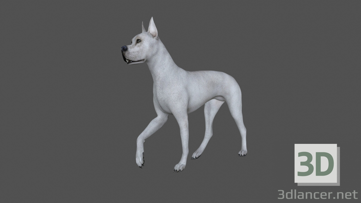 FDGD-001 Animationshund 3D-Modell kaufen - Rendern