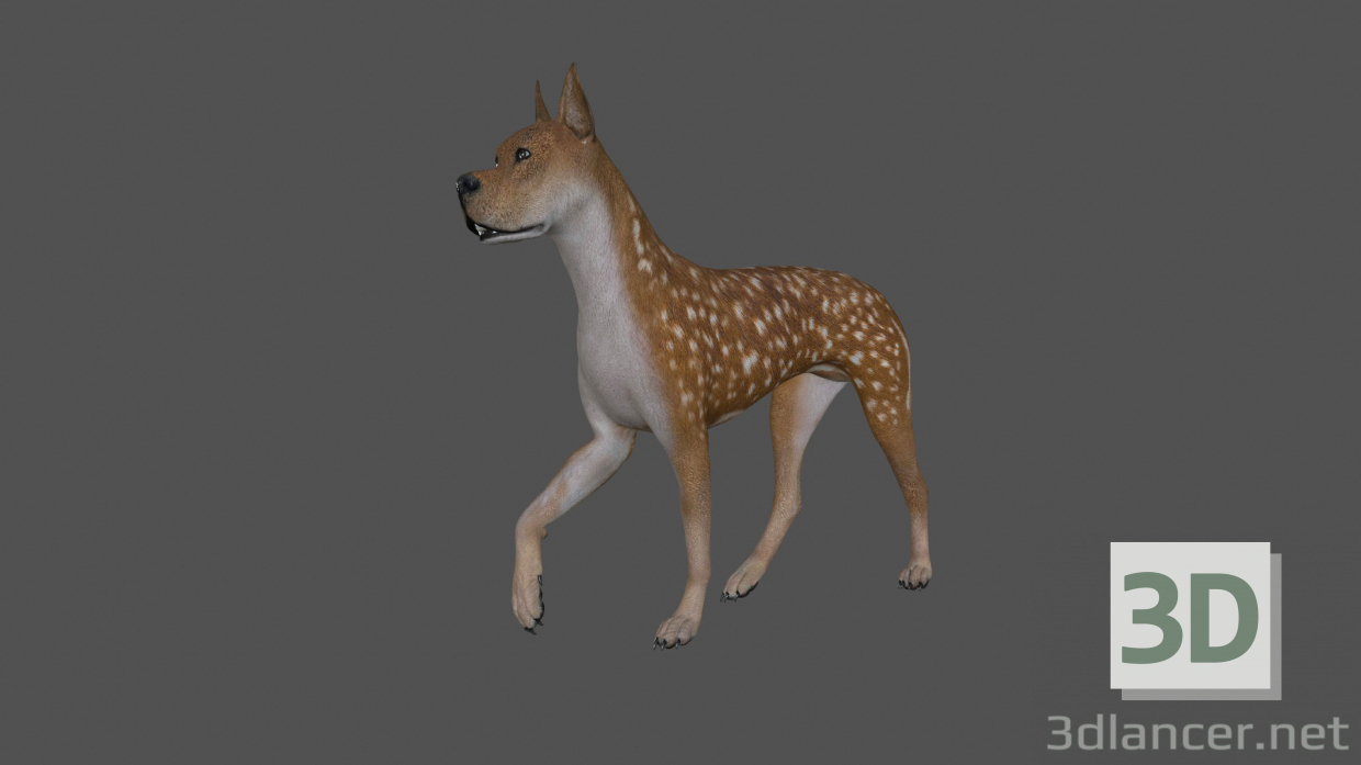 modèle 3D de Animation de chien FDGD-002 acheter - rendu