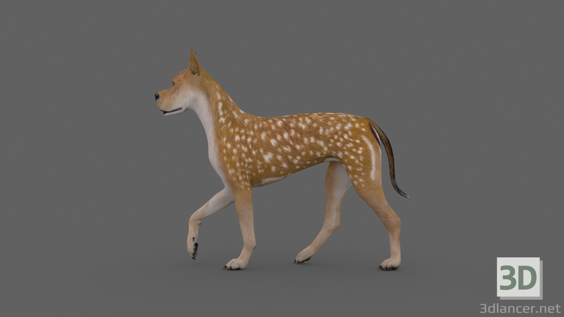 modèle 3D de Animation de chien FDGD-002 acheter - rendu