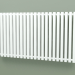 modèle 3D Radiateur Triga E (WGTRG061108-E2, 610x1080 mm) - preview