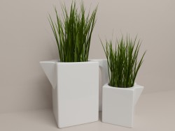 Decorative grass