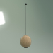 3d model Pendant lamp Nature Drop - preview