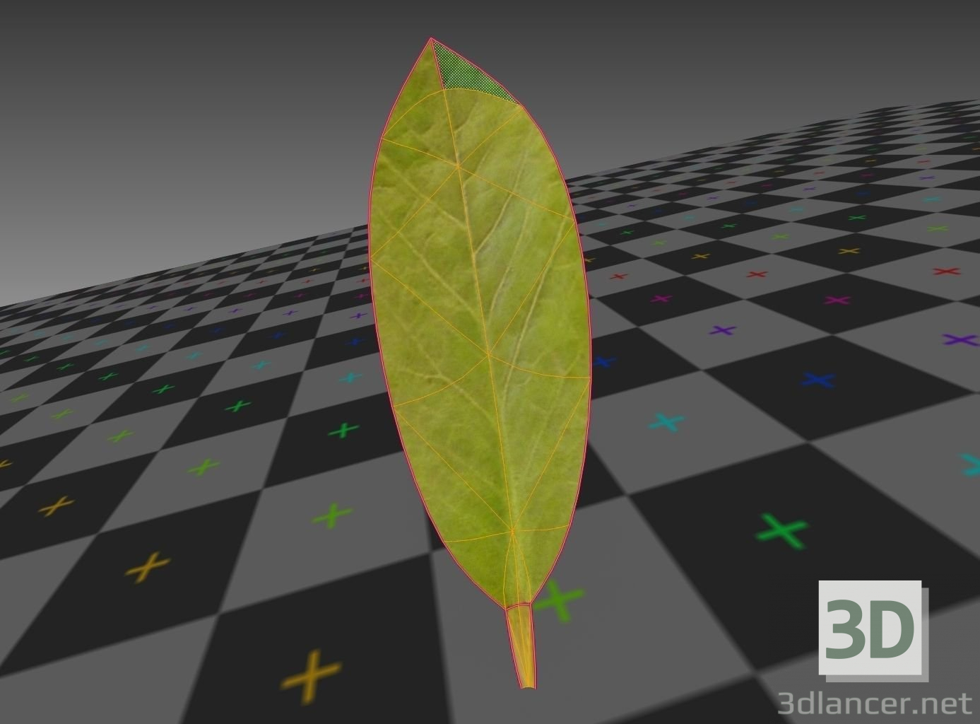 3d rigged,animated indoor plant in blender model buy - render