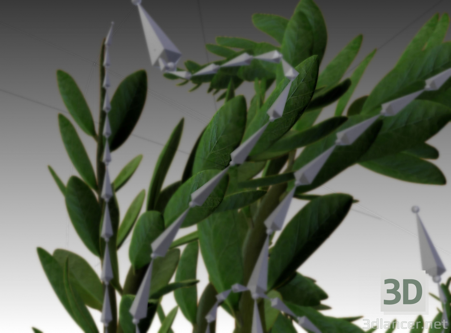 modèle 3D de plante d'intérieur truquée et animée dans un mélangeur acheter - rendu