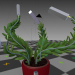 3d rigged,animated indoor plant in blender model buy - render