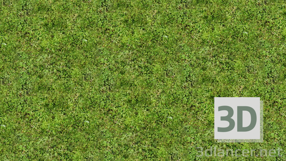 Texture Grass Texture free download - image