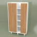 3d model Wardrobe (30111) - preview