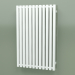 modèle 3D Radiateur Triga E (WGTRG090058-E8, 900х580 mm) - preview