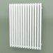 3d model Radiator Triga E (WGTRG090068-E8, 900x680 mm) - preview